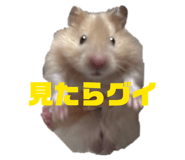 845430932