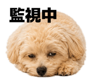 845430978