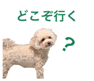845431028