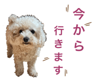 845431030