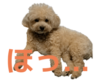 845431060
