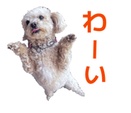 845431064