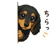 845431087