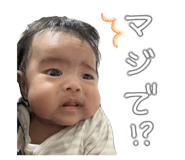 845431106