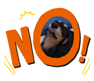 845431114