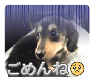 845431130