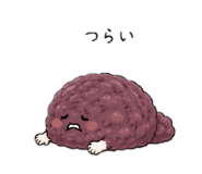 845431326