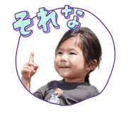 845431508