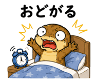 845431556