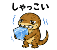 845431576