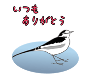 845432083
