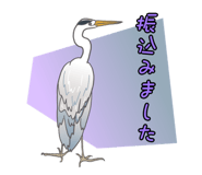 845432097