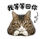 845432885