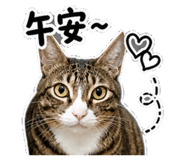 845432889