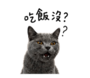 845433573