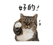 845433578