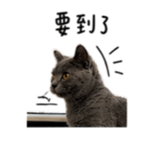 845433583