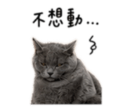 845433585