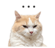 845434748
