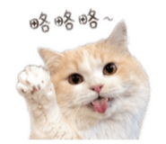 845434755