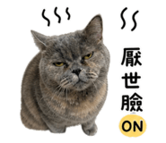 845434933
