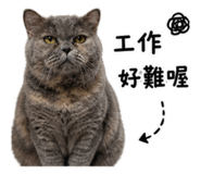 845434958