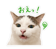 845435040
