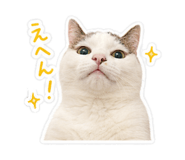 845435041