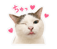 845435043