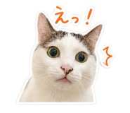 845435044