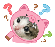 845435050