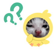 845435053