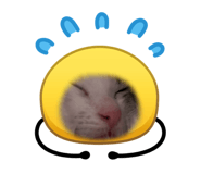 845435061