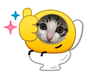 845435062