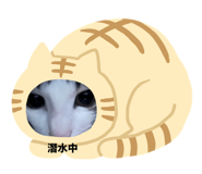 845435070