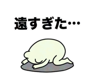 845435206