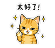 845435279