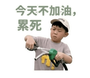 845435442
