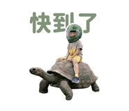 845435447