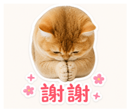 845435641