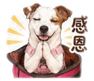 845436176