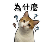 845436214