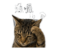845436290