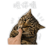 845436300