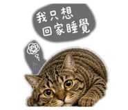 845436303