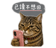 845436305