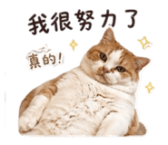 845437109