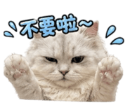845437122