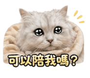 845437123