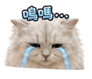 845437128